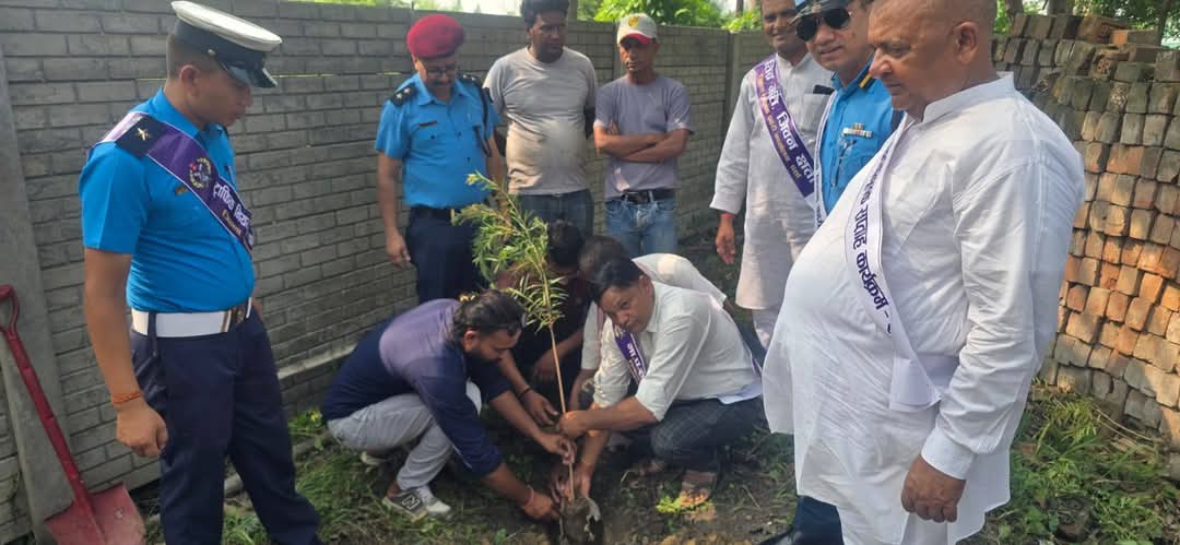 परवानीपुरमा ट्राफिक सप्ताहअन्तर्गत वृहत वृक्षारोपण कार्यक्रम सम्पन्न